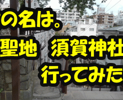 須賀神社の朝は気持ちがよい!